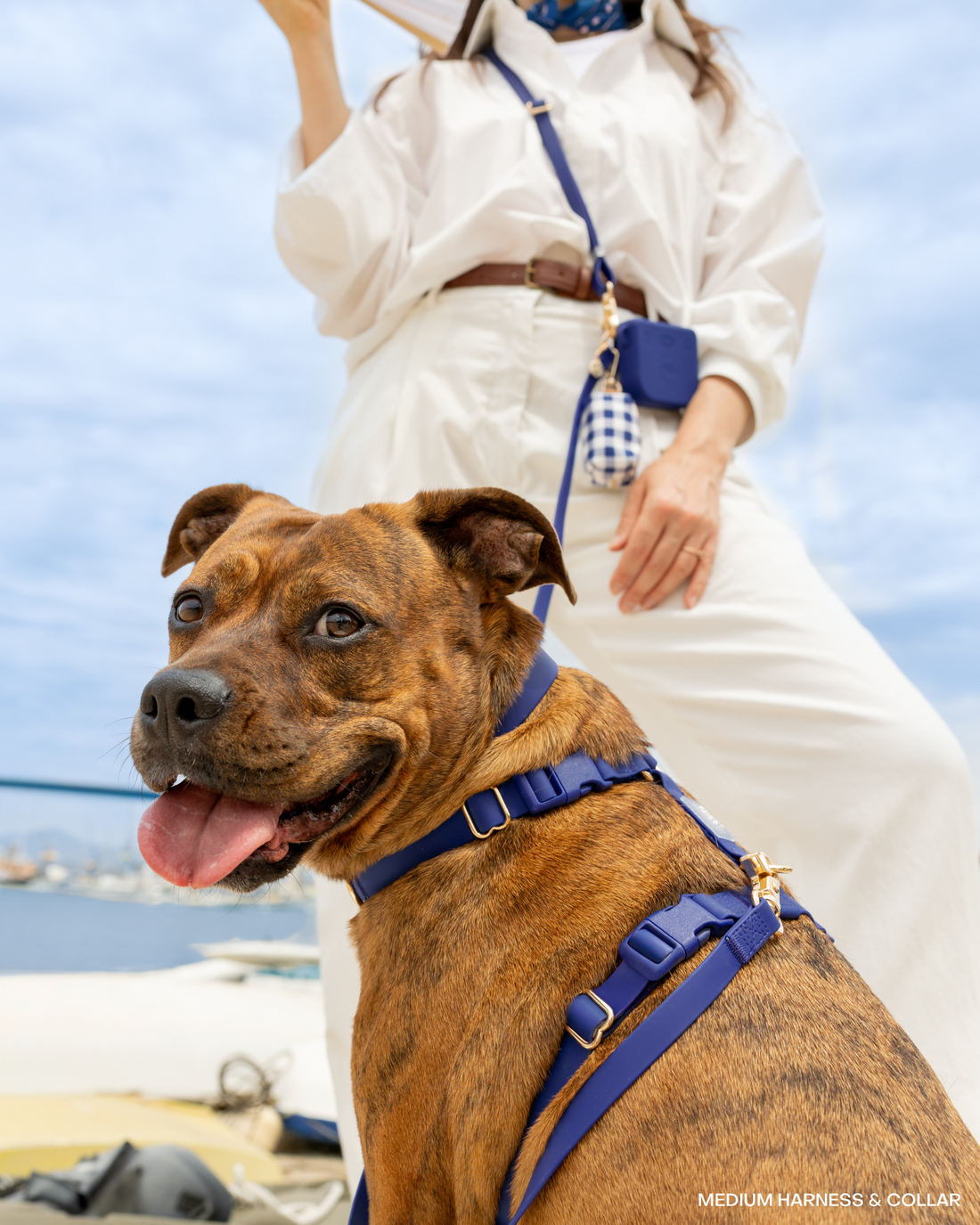 Signature Navy Blue Cloud Lite Dog Harness | Dark Blue Waterproof Dog Harness | No Pull Front Attachment | Available in 4 Sizes | Sunny Tails