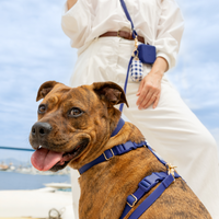Signature Navy Blue Cloud Lite Dog Harness | Dark Blue Waterproof Dog Harness | No Pull Front Attachment | Available in 4 Sizes | Sunny Tails