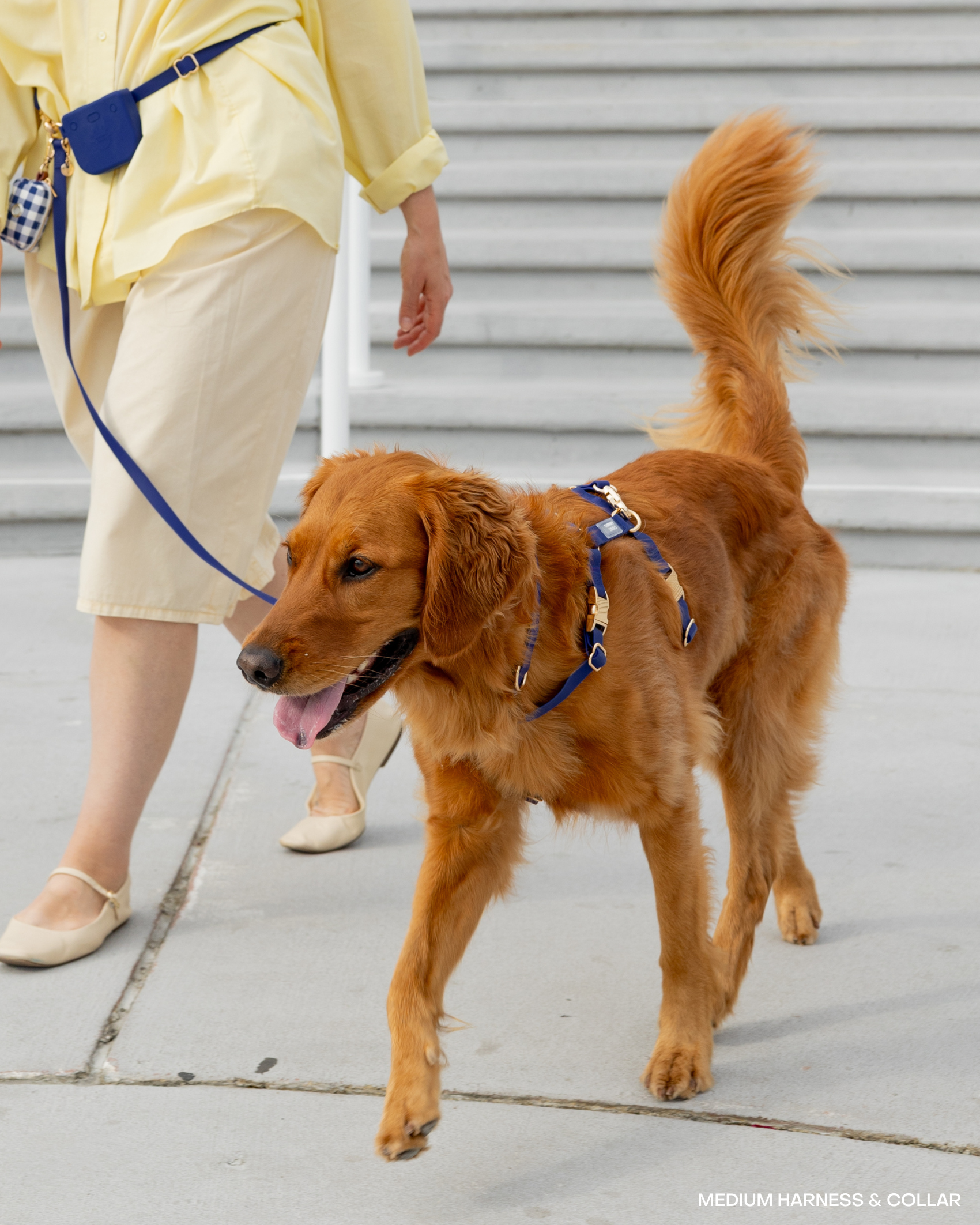 Signature Navy Cloud Lite Dog Harness