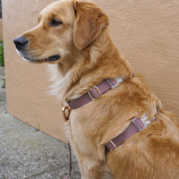 Espresso Brown Cloud Lite Dog Harness | Waterproof Dog Harness | No Pull Front Attachment | Available in 3 Sizes