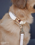 Cloud White Dog Collar | Hands Free Dog Leash White | Twist Lock Clip