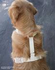 Cloud Lite Dog Harness Bundle Wide - SUNNY TAILS