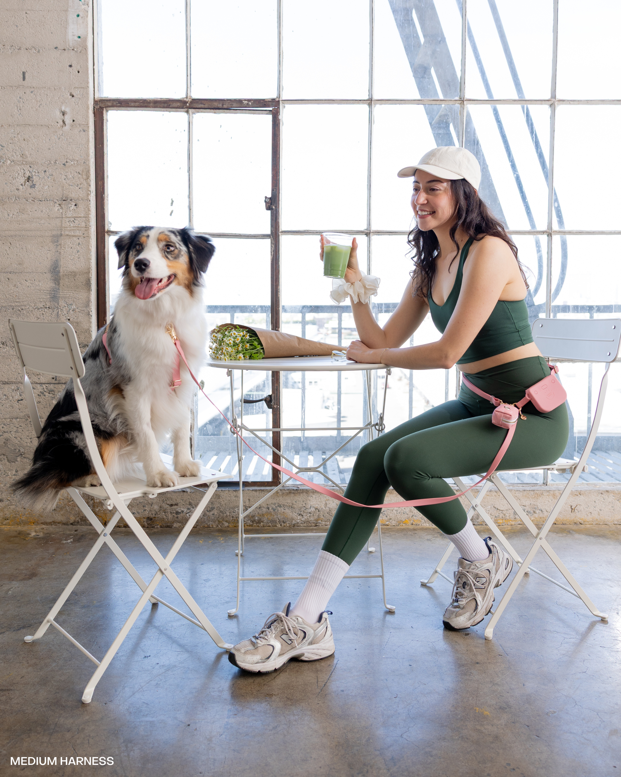 Perfect Pink 4-in-1 Convertible Hands Free Dog Leash | Multifunctional, Waterproof, and Lightweight Dog Leash | No Pull Dog Harness | Silicone Dog Treat Pouch | Dog Waste Poop Bag Dispenser