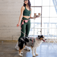 Cloud Leash Extension & Treat Pouch Bundle