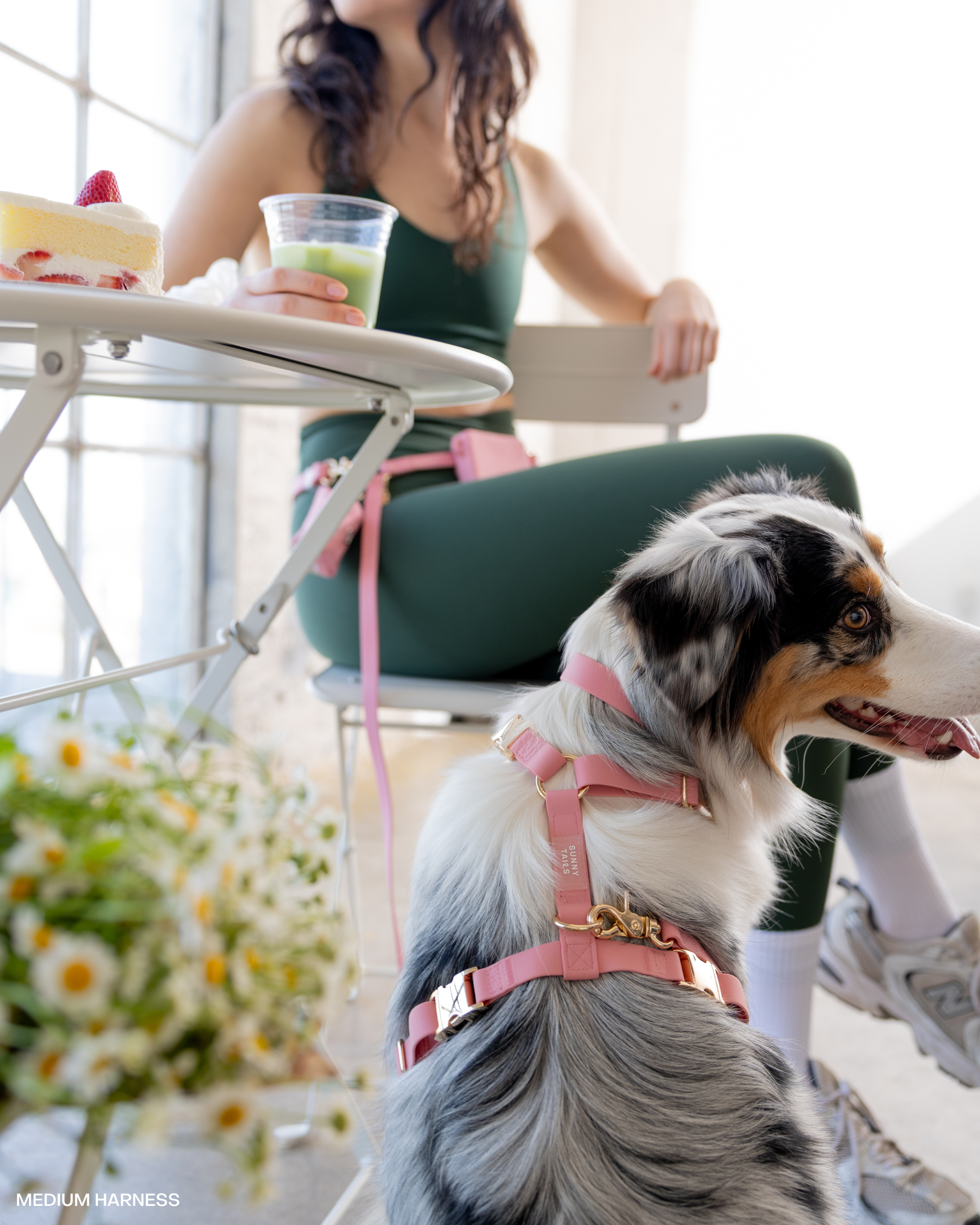 Perfect Pink 4-in-1 Convertible Hands Free Dog Leash | Multifunctional, Waterproof, and Lightweight Dog Leash | No Pull Dog Harness | Silicone Dog Treat Pouch | Dog Waste Poop Bag Dispenser
