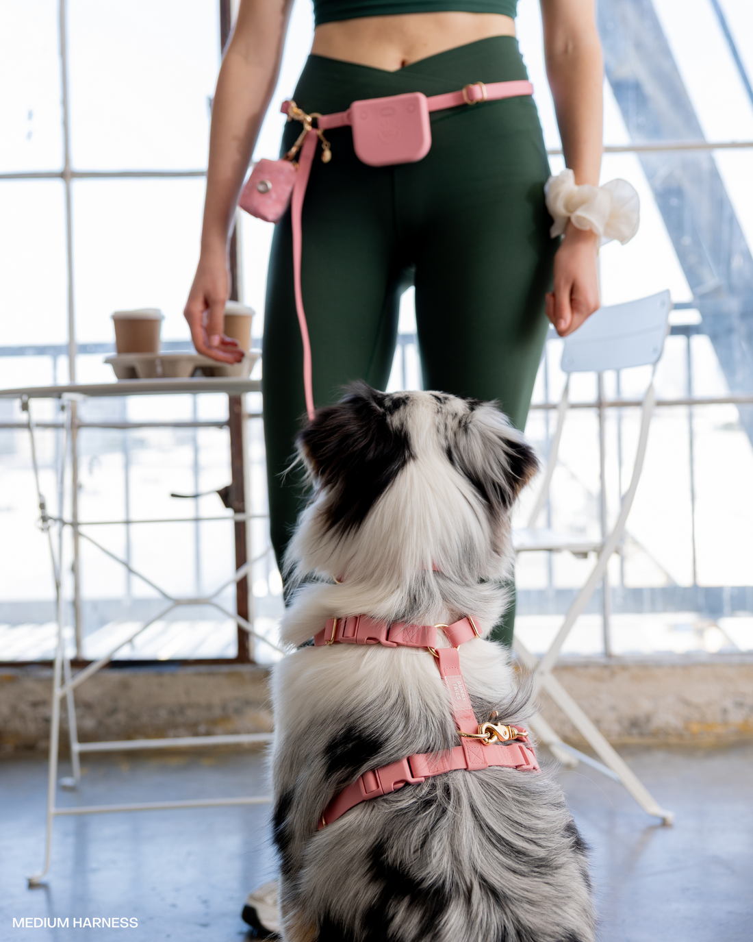 Perfect Pink 4-in-1 Convertible Hands Free Dog Leash | Multifunctional, Waterproof, and Lightweight Dog Leash | No Pull Dog Harness | Silicone Dog Treat Pouch | Dog Waste Poop Bag Dispenser
