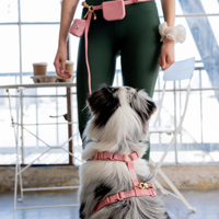 Perfect Pink 4-in-1 Convertible Hands Free Dog Leash | Multifunctional, Waterproof, and Lightweight Dog Leash | No Pull Dog Harness | Silicone Dog Treat Pouch | Dog Waste Poop Bag Dispenser