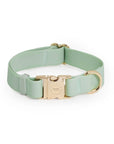 Pistachio Green Waterproof Dog Collar - SUNNY TAILS