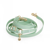 Pistachio Green 4-in-1 Convertible Hands Free Cloud Dog Leash | Multifunctional, Waterproof, and Lightweight Dog Leash | Shop Sunny Tails