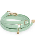 Pistachio Green 4 - in - 1 Wide Convertible Hands Free Cloud Dog Leash - SUNNY TAILS