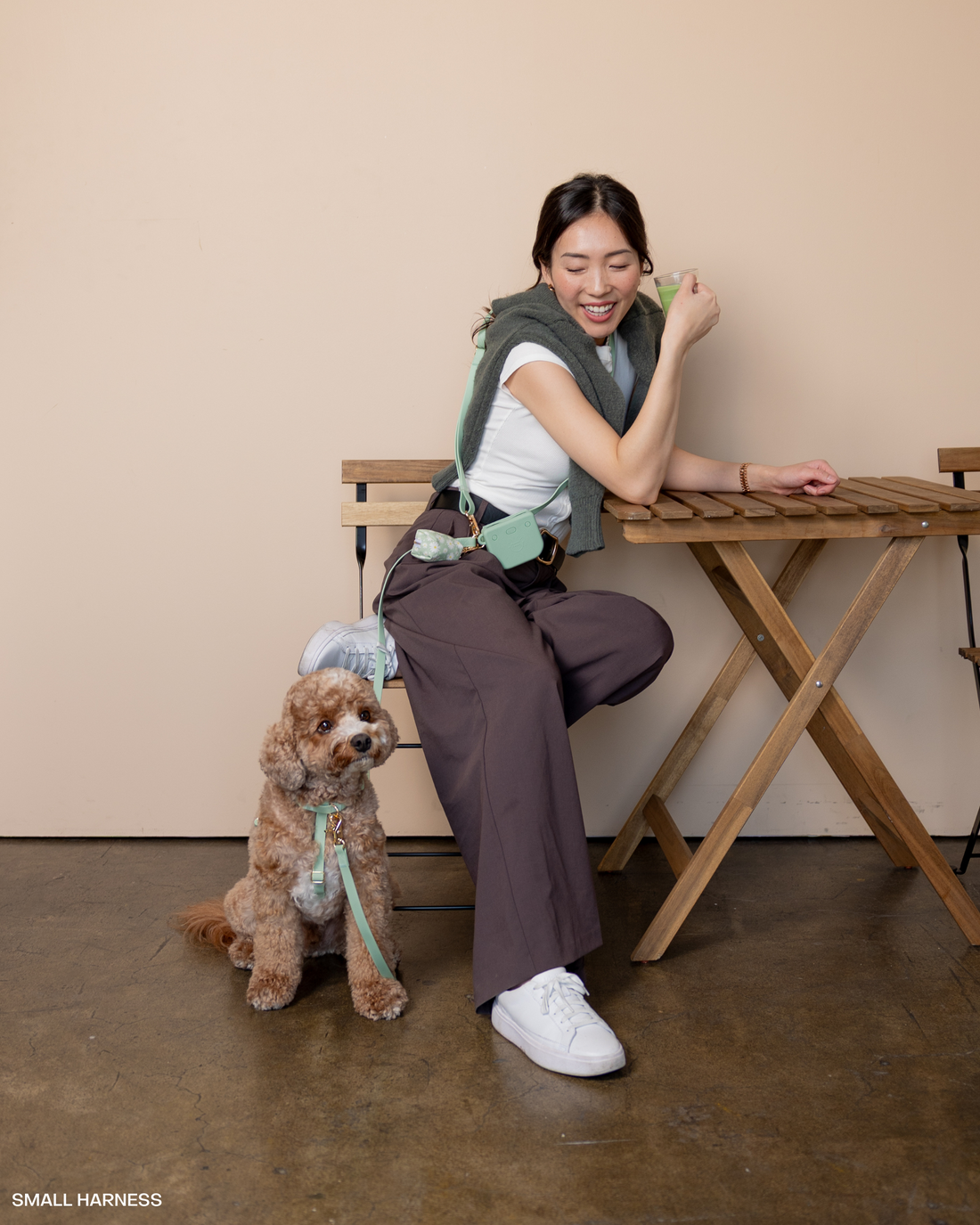 Pistachio Green 4-in-1 Convertible Hands Free Cloud Dog Leash | Multifunctional, Waterproof, and Lightweight Dog Leash | No Pull Dog Harness | Snap Dog Treat Pouch | Dog Waste Poop Bag Dispenser