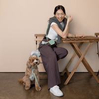 Pistachio Green 4-in-1 Convertible Hands Free Cloud Dog Leash | Multifunctional, Waterproof, and Lightweight Dog Leash | No Pull Dog Harness | Snap Dog Treat Pouch | Dog Waste Poop Bag Dispenser