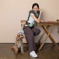 Pistachio Green 4-in-1 Convertible Hands Free Cloud Dog Leash | Multifunctional, Waterproof, and Lightweight Dog Leash | No Pull Dog Harness | Snap Dog Treat Pouch | Dog Waste Poop Bag Dispenser