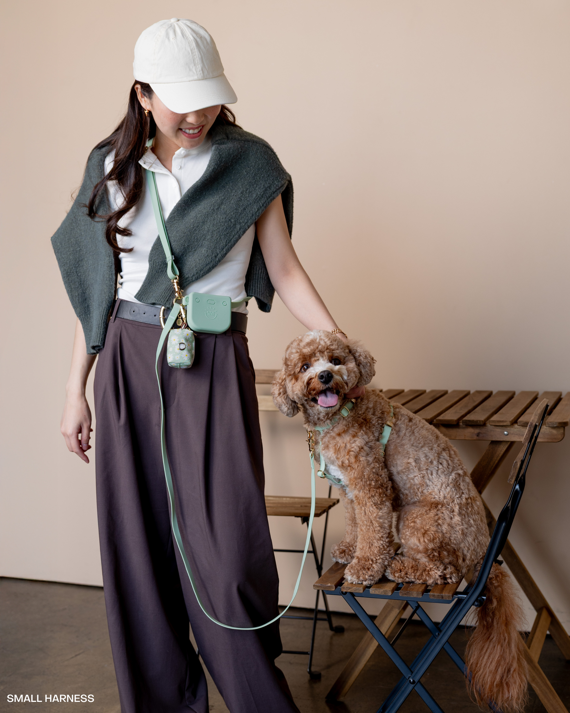 Pistachio Green 4-in-1 Convertible Hands Free Cloud Dog Leash | Multifunctional, Waterproof, and Lightweight Dog Leash | No Pull Dog Harness | Snap Dog Treat Pouch | Dog Waste Poop Bag Dispenser