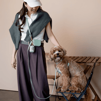 5 - Piece Hands Free Set – Leash, Harness, Collar, Treat Pouch & Waste Bag Holder - SUNNY TAILS