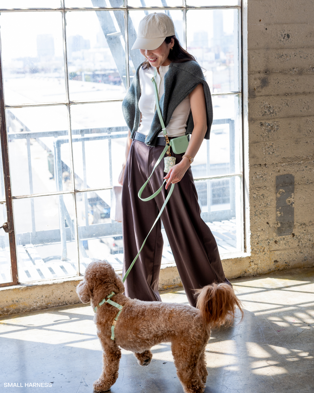 Pistachio Green 4-in-1 Convertible Hands Free Cloud Dog Leash | Multifunctional, Waterproof, and Lightweight Dog Leash | No Pull Dog Harness | Snap Dog Treat Pouch | Dog Waste Poop Bag Dispenser