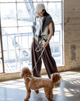5 - Piece Hands Free Set – Leash, Harness, Collar, Treat Pouch & Waste Bag Holder - SUNNY TAILS