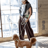 Pistachio Green 4-in-1 Convertible Hands Free Cloud Dog Leash | Multifunctional, Waterproof, and Lightweight Dog Leash | No Pull Dog Harness | Snap Dog Treat Pouch | Dog Waste Poop Bag Dispenser