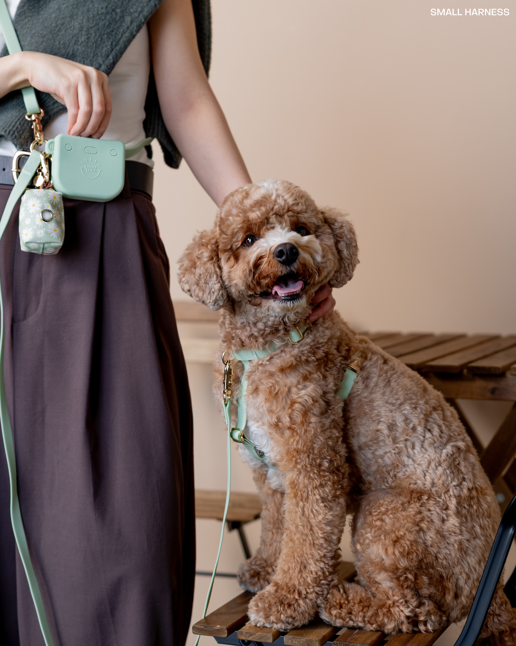 Pistachio Green 4-in-1 Convertible Hands Free Cloud Dog Leash | Multifunctional, Waterproof, and Lightweight Dog Leash | No Pull Dog Harness | Snap Dog Treat Pouch | Dog Waste Poop Bag Dispenser