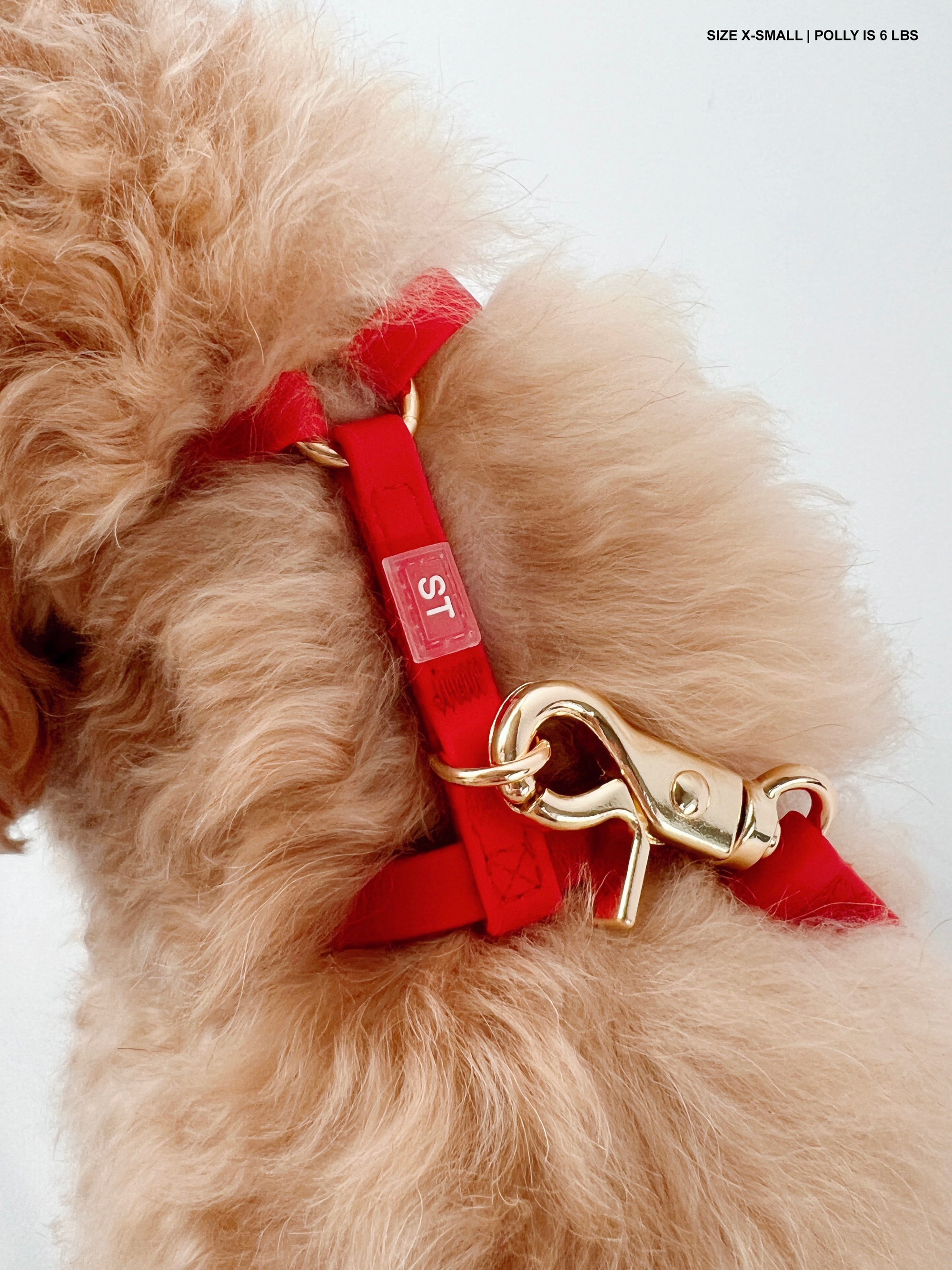 Cherry Red Cloud Lite Dog Harness