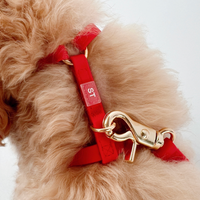 Cloud Lite Dog Harness Bundle