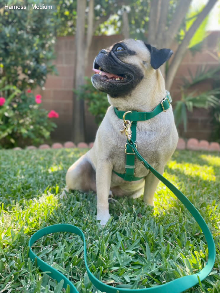 Meadow Green Cloud Lite Dog Harness | Waterproof Dog Harness | No Pull Front Attachment | Available in 3 Sizes