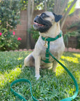 Meadow Green Cloud Lite Dog Harness - SUNNY TAILS