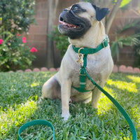Meadow Green Cloud Lite Dog Harness | Waterproof Dog Harness | No Pull Front Attachment | Available in 3 Sizes