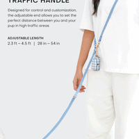 Cloud Dog Collar Treat Pouch Bundle