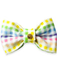 Rainbow Gingham Dog Bow Tie  | Summer Snap Over Collar Bow Tie | Shop Sunny Tails