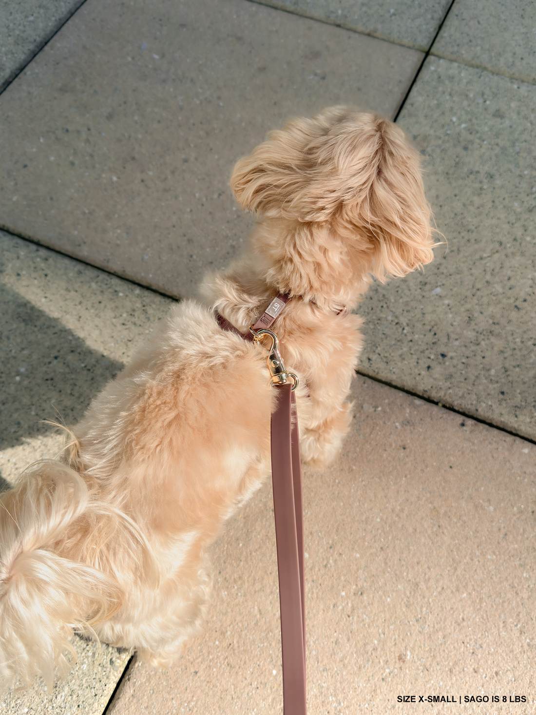 Espresso Brown Cloud Lite Dog Harness