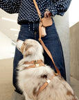 Cloud Lite Dog Harness Bundle (Preorder ship by 6/12)