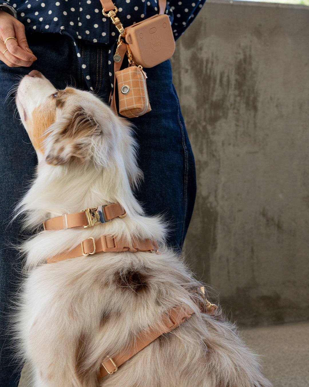 Chai Brown Waste Bag Holder | Dog Poop Bag Holder | Dog Walk Bag