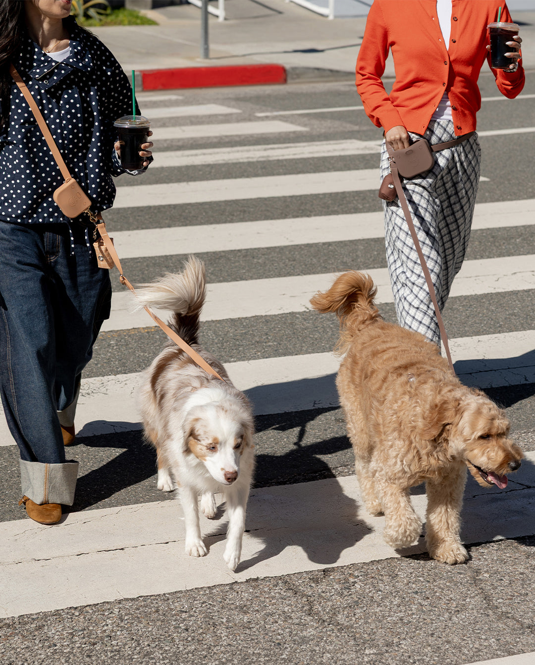 ※だいふくさま専用　the row  single mignon bag Espresso Brown Snap Dog Treat Pouch | Dog Training Bag | Dog Bag