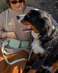 Best Sellers Collar & Treat Pouch Bundle