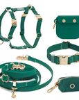 5-Piece Hands Free Set – Leash, Harness, Collar, Treat Pouch & Waste Bag Holder