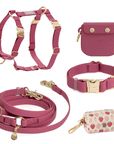 5-Piece Hands Free Set – Leash, Harness, Collar, Treat Pouch & Waste Bag Holder