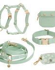 5-Piece Hands Free Set – Leash, Harness, Collar, Treat Pouch & Waste Bag Holder