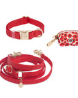 Cloud Dog Collar Bundle