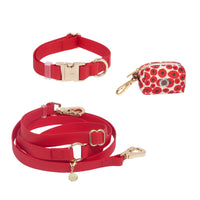 Cloud Dog Collar Bundle Wide