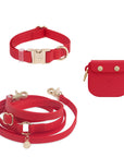 Cloud Dog Collar Treat Pouch Bundle
