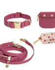 Best Sellers Collar & Treat Pouch Bundle - SUNNY TAILS