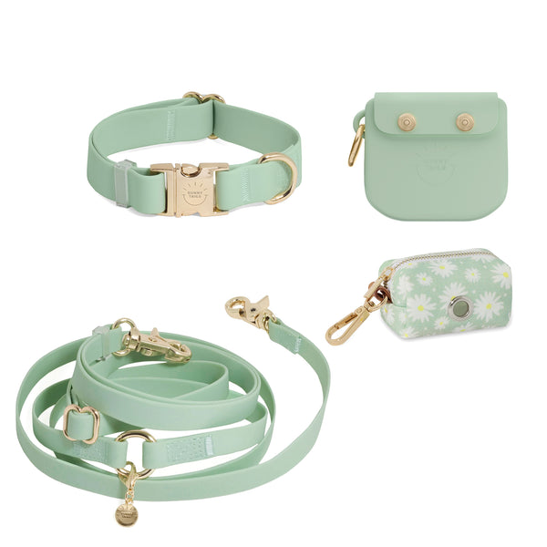 Best Sellers Collar & Treat Pouch Bundle - SUNNY TAILS