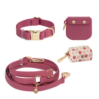 Best Sellers Collar & Treat Pouch Bundle Wide