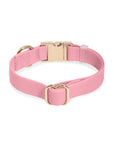 Perfect Pink Waterproof Dog Collar