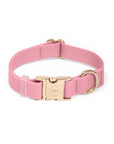 Perfect Pink Waterproof Dog Collar | Light Pink Quick Release Collar | Available in 3 Sizes | Durable Dog Collars | Shop Sunny Tails