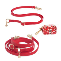 Cloud Convertible Leash Extension Bundle
