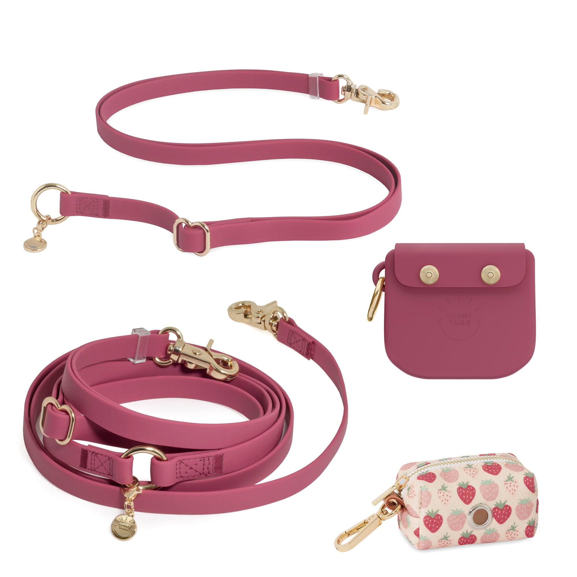 Best Sellers Leash Extension & Treat Pouch Bundle