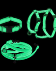 Lunar Glow Dog Harness and Collar Bundle
