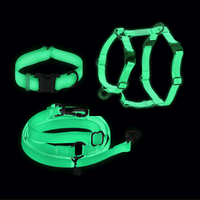 Lunar Glow Dog Harness and Collar Bundle Wide | Glow in the Dark Hands Free Leash Set | White Dog Harness and Dog Collar | Sunny Tails